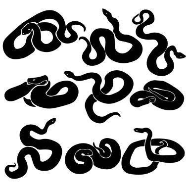 set of silhouettes of snakes, reptiles twisted or crawling vector illustration