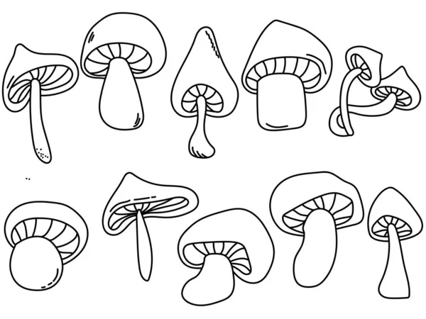 Set Funghi Contorno Fungo Cappello Contorno Varie Forme Dimensioni Illustrazione — Vettoriale Stock