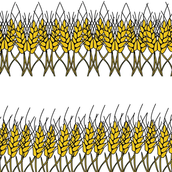 Horizontale Randen Gemaakt Van Spikeletten Decoratieve Elementen Gemaakt Van Graan — Stockvector