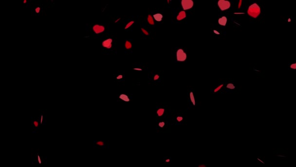 Muchos corazones rojos caen de arriba a abajo y giran aleatoriamente sobre un fondo negro con máscara de luma. Se puede utilizar para la colocación de la copia o como fondo para el elemento de diseño Día de San Valentín. — Vídeo de stock