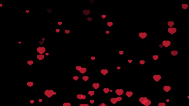 Platta röda hjärtan flyger från botten till toppen över svart bakgrund med alfakanal, luma matt. Glad Alla hjärtans dag isolerad backgorund. — Stockvideo