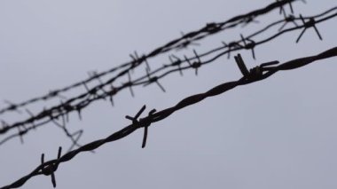Gri, donuk bir gökyüzüne karşı dikenli tellerin alt görüntüsü. Yasadışı göç kavramı, hapishane yaşam tarzı, hapis, yasak bölge.