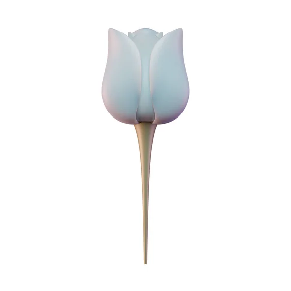 Tulip Flower Render Illustration Adapté Journée Internationale Femme — Photo