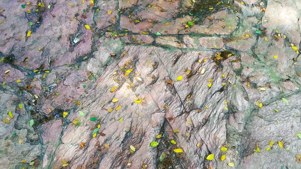 Kleine Gelbliche Blätter Auf Rotem Rauem Steinboden — Stockfoto