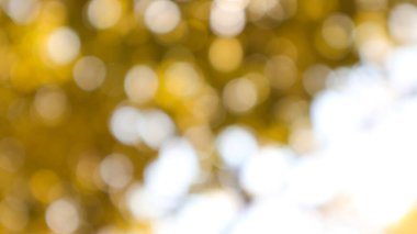 Gündüz vakti ağacın Bokeh ışığı, bulanık arkaplan.