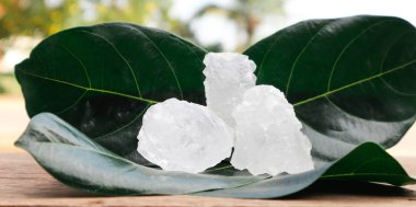 Ağaç yapraklarındaki alüminyum küplerin arka planında bulanıklık var. Alüminyum üzerine yumuşak ve seçici odaklanma.