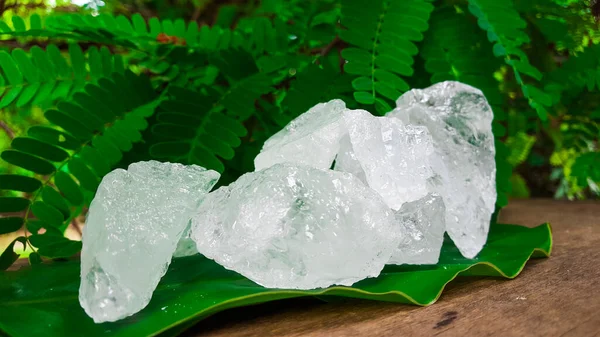 Yeşil yapraklı beyaz alum küpleri güzellik ve tıbbi endüstriyel kavramlar için.