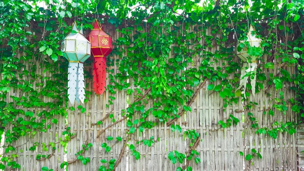 Green Vines Cover Weaved Dry Gray Bamboo Wall Which Used — Photo