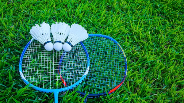 Badminton Shuttercocks Blue Raquettes Green Field — Stock Photo, Image