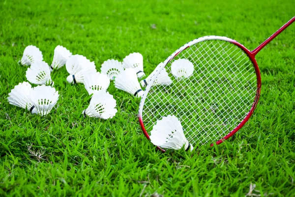 Shuttlecocks Badminton Rackets Green Field — Stock Photo, Image