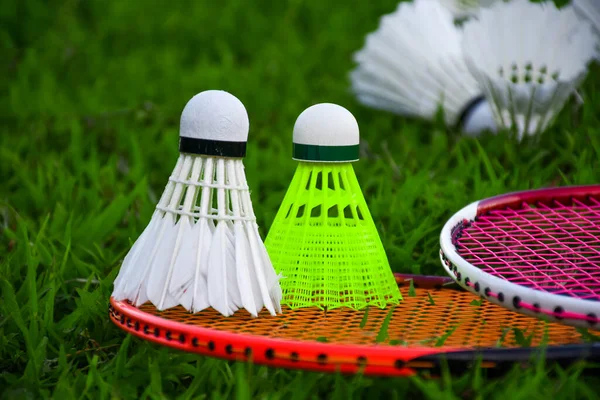 Shuttlecocks Badminton Rackets Green Field — Stock Photo, Image