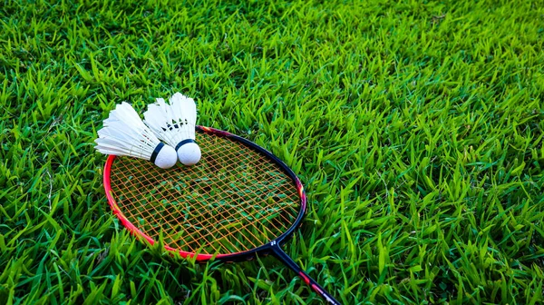Shuttlecocks Badminton Rackets Green Field — Stock Photo, Image