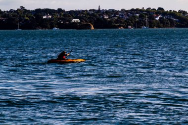Birkenhead Rıhtımı yakınlarındaki Iron Cove 'da çeşitli yelkenli gemileri var. Auckland, Yeni Zelanda