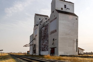 Ovaların görkemli ahşap devleri. Bazıları hala çok eski bir çağın simgesi olarak duruyor..