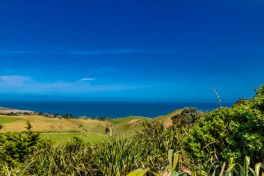 Deniz fenerinden Manakua Limanı manzarası. Manakua Başları, Auckland, Yeni Zeland