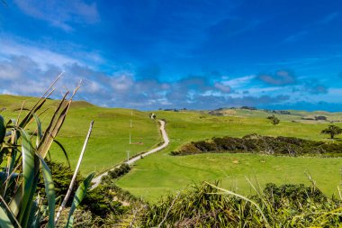 Deniz fenerine giden yol. Manakua Başları, Auckland, Yeni Zelanda