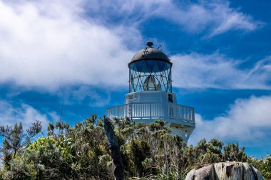 Tepedeki Manakua Heads deniz feneri. Manakua Başkanı, Auckland, Yeni Zelanda