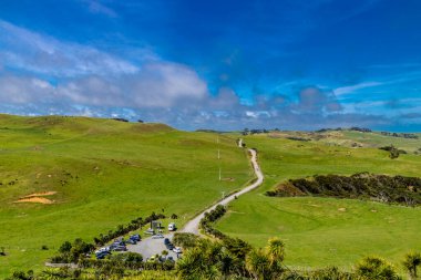 Deniz fenerine giden yol. Manakua Başları, Auckland, Yeni Zelanda