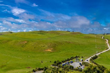Deniz fenerine giden yol. Manakua Başları, Auckland, Yeni Zelanda