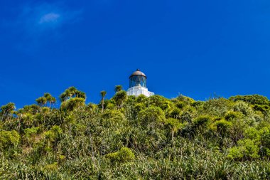 Tepedeki Manakua Heads deniz feneri. Manakua Başkanı, Auckland, Yeni Zelanda