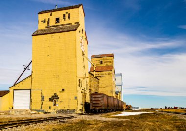 Ovaların görkemli ahşap devleri. Bazıları hala çok eski bir çağın simgesi olarak duruyor..