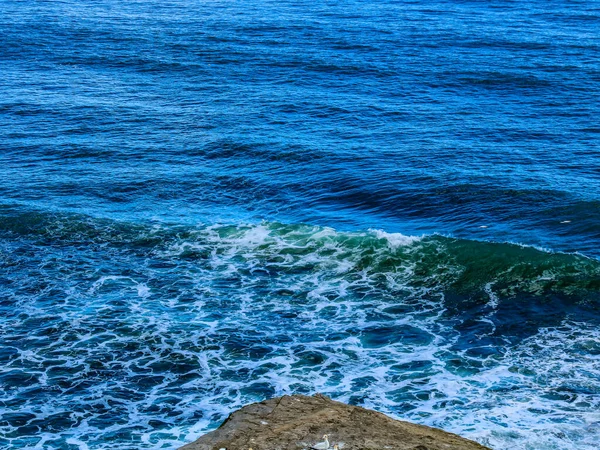 Κύματα Συντρίβονται Στην Ακτή Muriwai Beach Auckland Νέα Ζηλανδία — Φωτογραφία Αρχείου