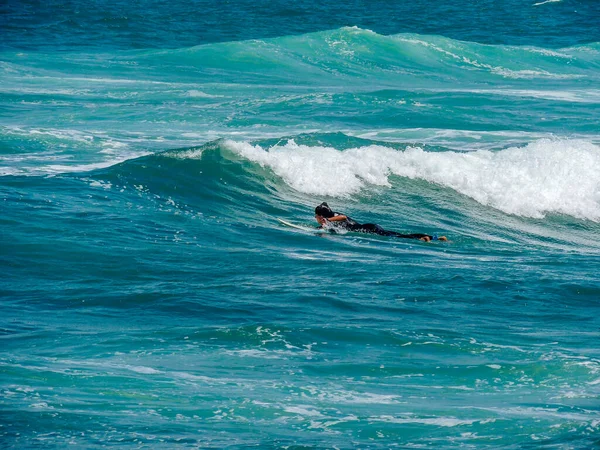 Surferzy Uderzający Fale Piha Beach Auckland Nowa Zelandia — Zdjęcie stockowe