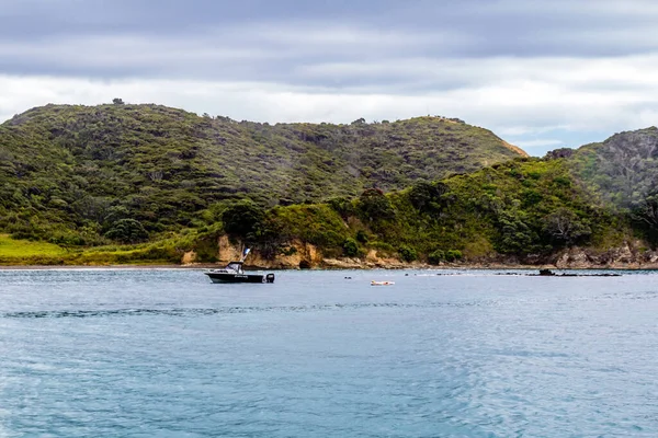 Kiralık Bir Tekneden Adaların Manzarası Adalar Körfezi Yeni Zeland — Stok fotoğraf