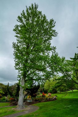 Flora ve Hayvanat Bahçesi turistlere duraklama fırsatı veriyor. Hükümet Bahçeleri, Rotarua, Yeni Zelanda