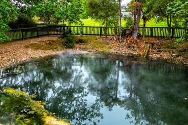 Jeotermal göletler ve kaynaklar Hükümet Bahçeleri, Rotarua ve Yeni Zelanda 'nın her yerindedir.