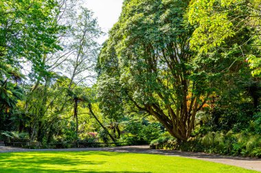 Flora ve Fauna bahçelerin etrafında yürürken her yerdeler. Pukekura Parkı, Taranaki, Yeni Zelanda