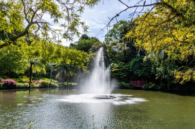 Gölün ortasındaki çeşme havaya su fırlatır. Pukekura Parkı, Taranaki, Yeni Zelanda