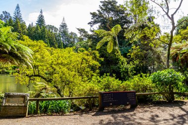 Flora ve Fauna bahçelerin etrafında yürürken her yerdeler. Pukekura Parkı, Taranaki, Yeni Zelanda