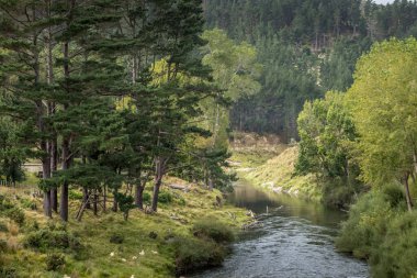 Yol kenarında yeşil bir manzara üzerinde tepeler ve dereler vardır. Taranaki, Yeni Zelanda