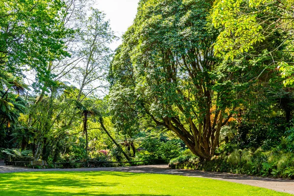 Flora ve Fauna bahçelerin etrafında yürürken her yerdeler. Pukekura Parkı, Taranaki, Yeni Zelanda