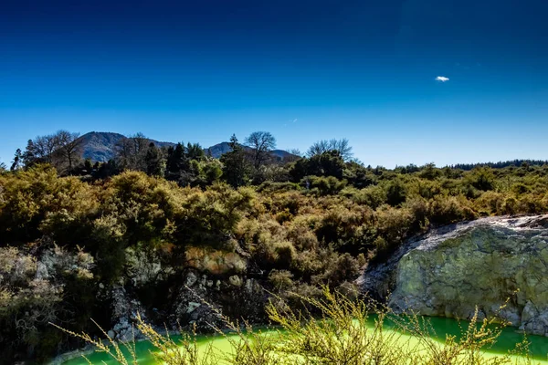 웅덩이와 Wai Tapu Rotarua New Zealand — 스톡 사진