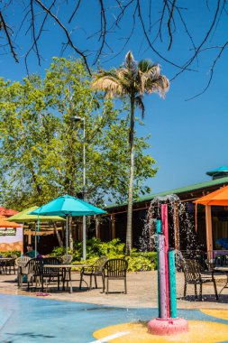 Busch Gardens, Tampa, Florida, ABD 'de yürürken