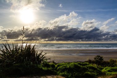 Yuvarlanan dalgalar, siyah kum ve parlak yeşil bitki örtüsü sahile yapılan ziyaretin altını çiziyor. Taranaki, Plaj, Taranaki, Yeni Zelanda