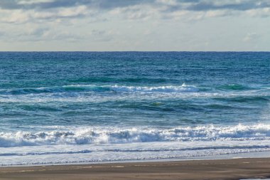 Yuvarlanan dalgalar, siyah kum ve parlak yeşil bitki örtüsü sahile yapılan ziyaretin altını çiziyor. Taranaki, Plaj, Taranaki, Yeni Zelanda