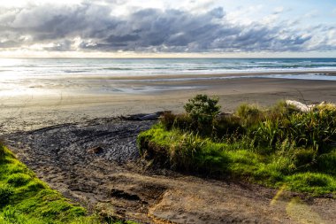 Yuvarlanan dalgalar, siyah kum ve parlak yeşil bitki örtüsü sahile yapılan ziyaretin altını çiziyor. Taranaki, Plaj, Taranaki, Yeni Zelanda