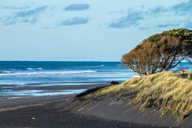 Yuvarlanan dalgalar, siyah kum ve parlak yeşil bitki örtüsü sahile yapılan ziyaretin altını çiziyor. Taranaki, Plaj, Taranaki, Yeni Zelanda