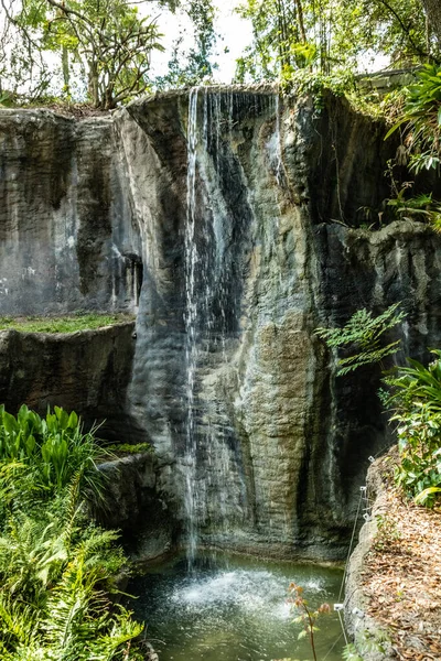 在美国佛罗里达州坦帕的Busch Gardens散步时的景色 — 图库照片