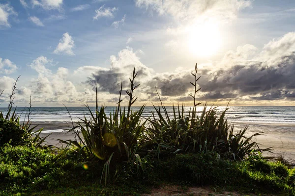 Rolling Waves Black Sand Brilliant Green Vegetation Highlight Visit Beach — Stock Photo, Image