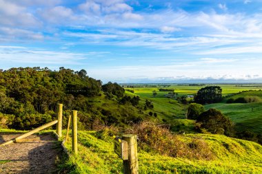 Kırsal kesimde, yuvarlanan tepelerin arasında bir gezinti. Matamata, Waikato, Yeni Zelanda