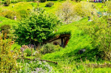Film setinden Hobbiton 'a doğru yürürken görülecek ve bakılacak çok şey var. Matamata, Waikato, Yeni Zelanda