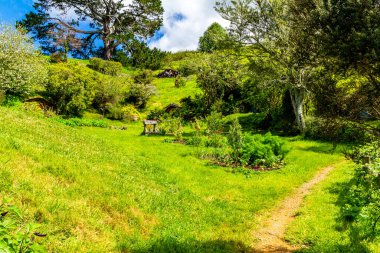 Film setinden Hobbiton 'a doğru yürürken görülecek ve bakılacak çok şey var. Matamata, Waikato, Yeni Zelanda