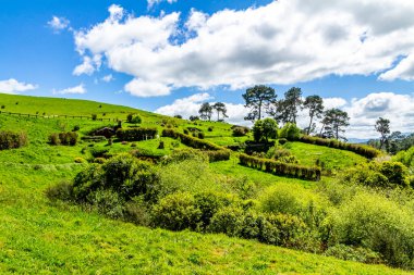 Film setinden Hobbiton 'a doğru yürürken görülecek ve bakılacak çok şey var. Matamata, Waikato, Yeni Zelanda