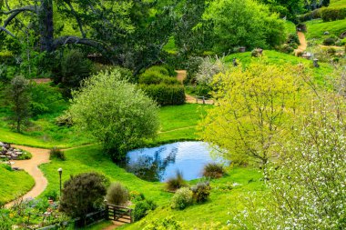 Film setinden Hobbiton 'a doğru yürürken görülecek ve bakılacak çok şey var. Matamata, Waikato, Yeni Zelanda