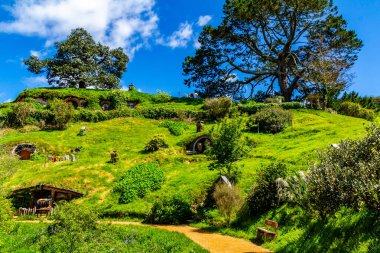 Film setinden Hobbiton 'a doğru yürürken görülecek ve bakılacak çok şey var. Matamata, Waikato, Yeni Zelanda