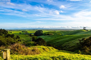 Kırsal kesimde, yuvarlanan tepelerin arasında bir gezinti. Matamata, Waikato, Yeni Zelanda
